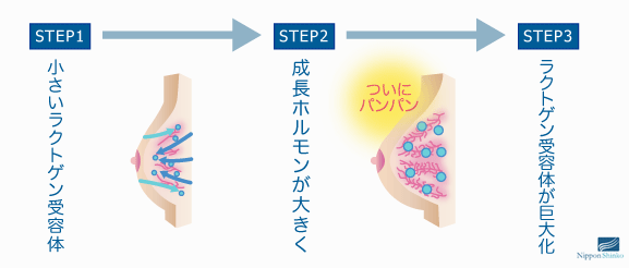 Hghヒト成長ホルモンとバストアップ ヒト成長ホルモン分泌促進サプリメント Hghデルタバランス 効果と副作用 口コミや評価